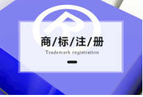 2020怎么样找到专业的商标代理机构申请商标服务