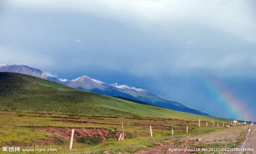 大王纸尿裤好吗