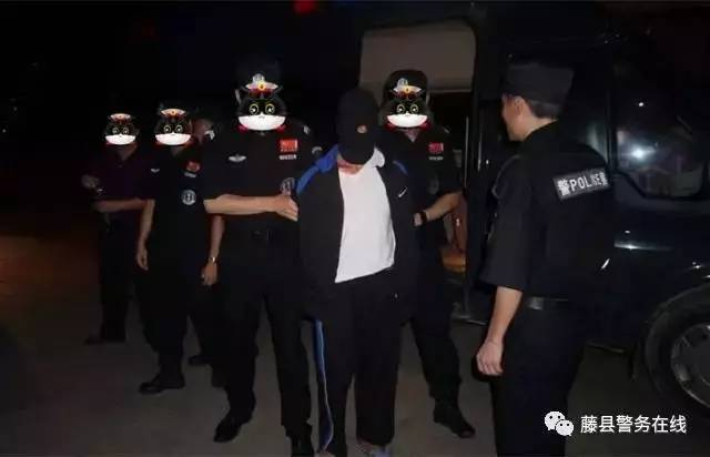 藤县搜救者的7天7夜：不想停下来的简单介绍_https://www.whai.cc_行业资讯_第2张