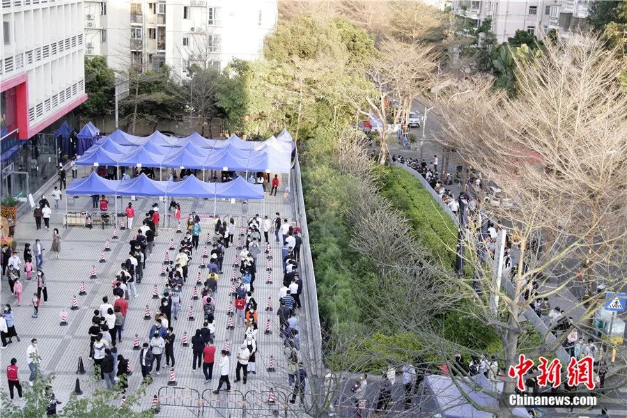 图为深圳市民有序排队做免费核酸检测。<a target='_blank'  data-cke-saved-href='/' href='/'>中新社</a>记者 陈文 摄