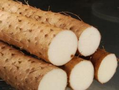 “金田淮山”正式进入中国地理标志证明商标之