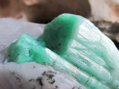 麻栗坡县获得8个商标专用权