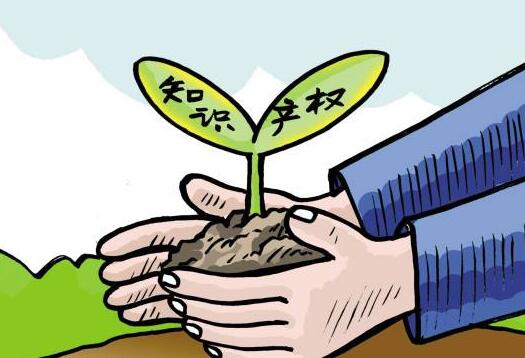 淮安知识产权司法保护专题新闻发布会在市中级