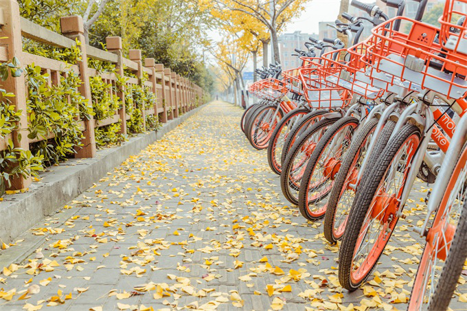 数据热|从共享单车的供应商，回看共享单车的兴