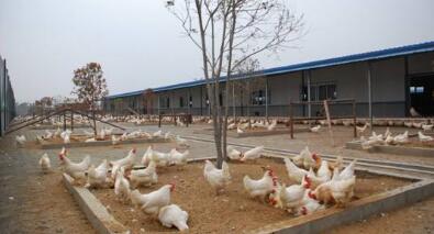 神丹回应315被点名：今后“好土”商标只用于散