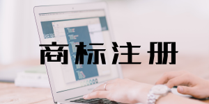 掌握这些方法，商标近似不再怕